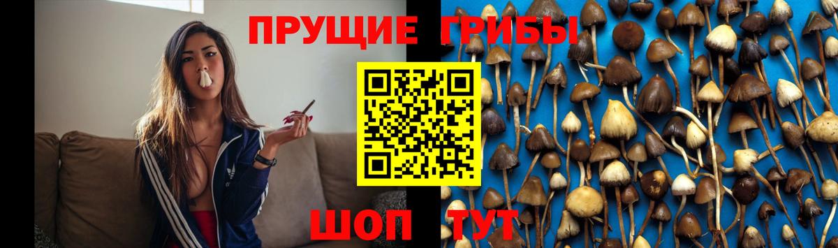 Галлюциногенные грибы Magic Shrooms  Вход с VPN  где продают наркотики  Кулебаки  Псилоцибиновые грибы Psilocybine cubensis 